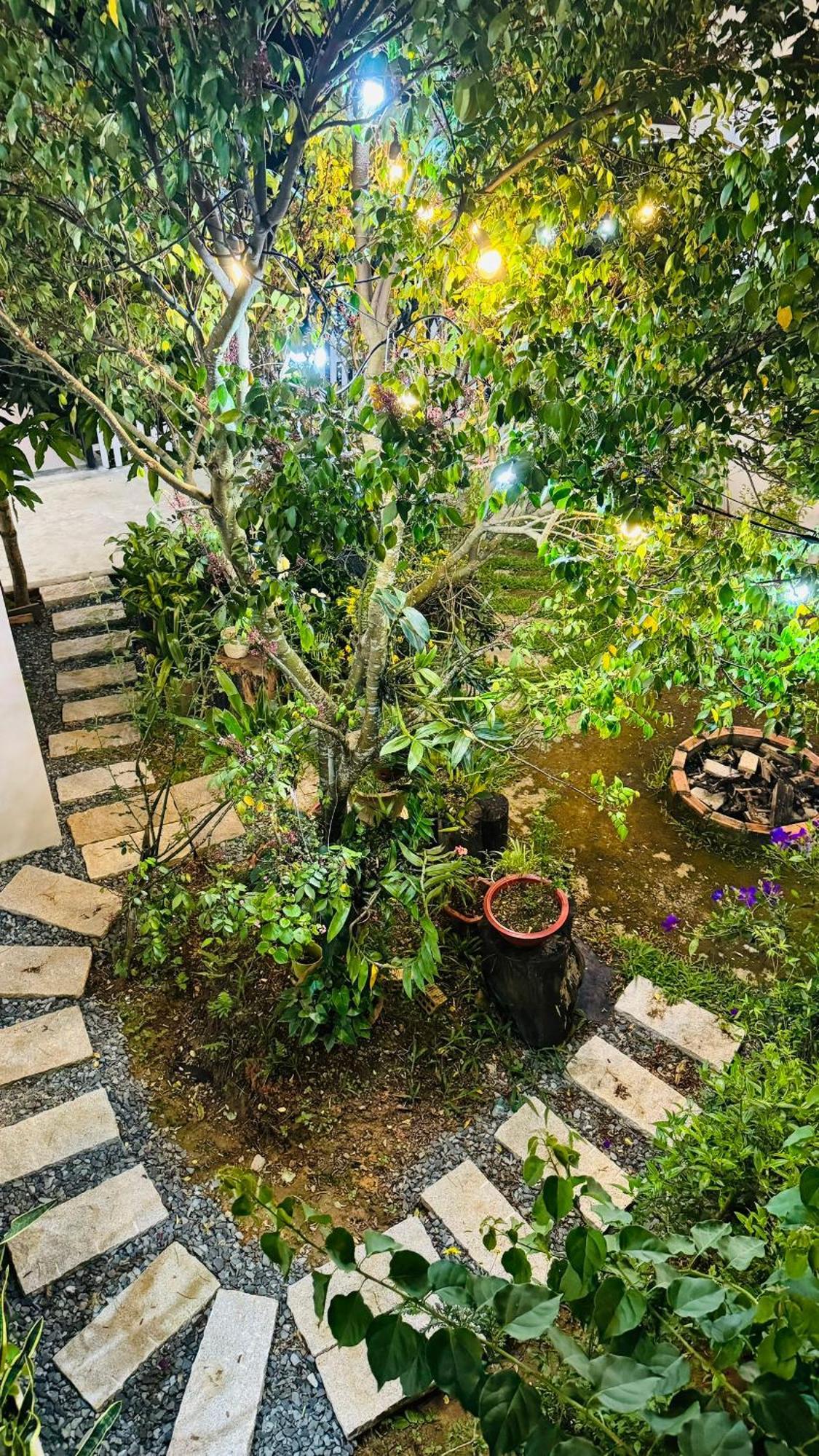 Nhà của Sóc Apartment Đà Lạt Ngoại thất bức ảnh